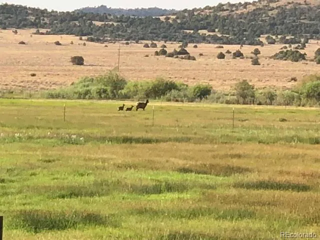 $2,595,000 | 54400 County Rd LL56, Villa Grove, CO 81155