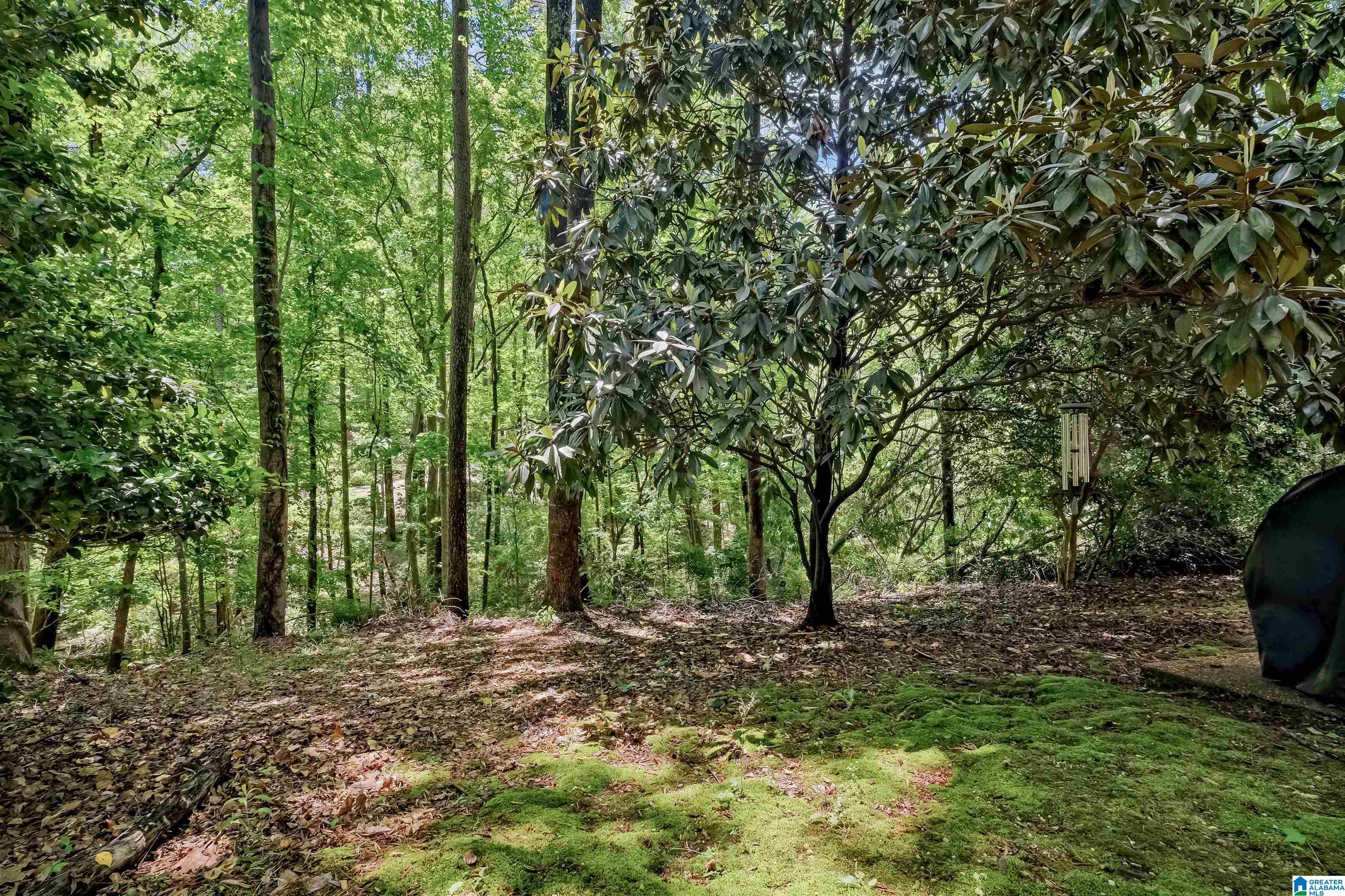 3841 River Run Trail Birmingham, AL 35243 - Photo 39 of 45