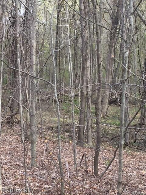 0 South Reese Road Frankenmuth, MI 48734 - Photo 5 of 15