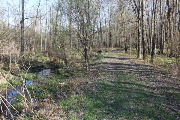 $315,000 | 6095 East M 20, Hesperia, MI 49421