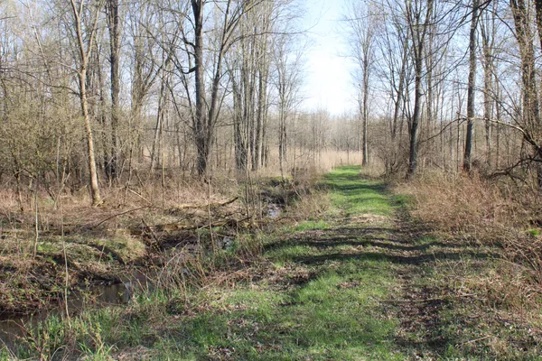 $315,000 | 6095 East M 20, Hesperia, MI 49421