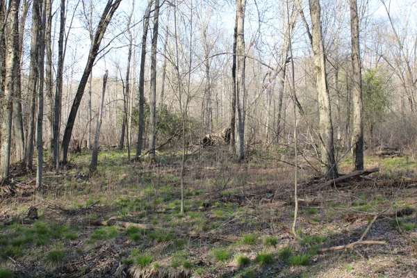 $315,000 | 6095 East M 20, Hesperia, MI 49421