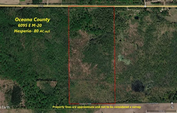 $315,000 | 6095 East M 20, Hesperia, MI 49421