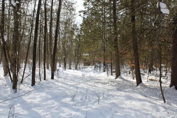 $315,000 | 6095 East M 20, Hesperia, MI 49421