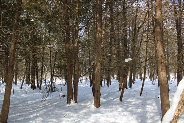 $315,000 | 6095 East M 20, Hesperia, MI 49421