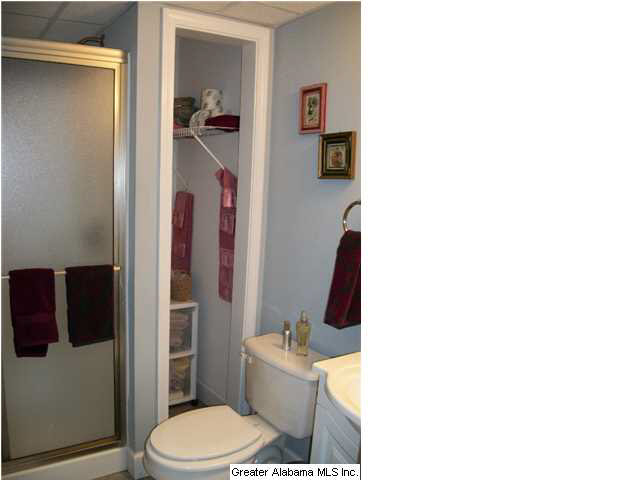 263 Meadows Drive Springville, AL 35146 - Photo 22 of 29 Gallery Image 22
