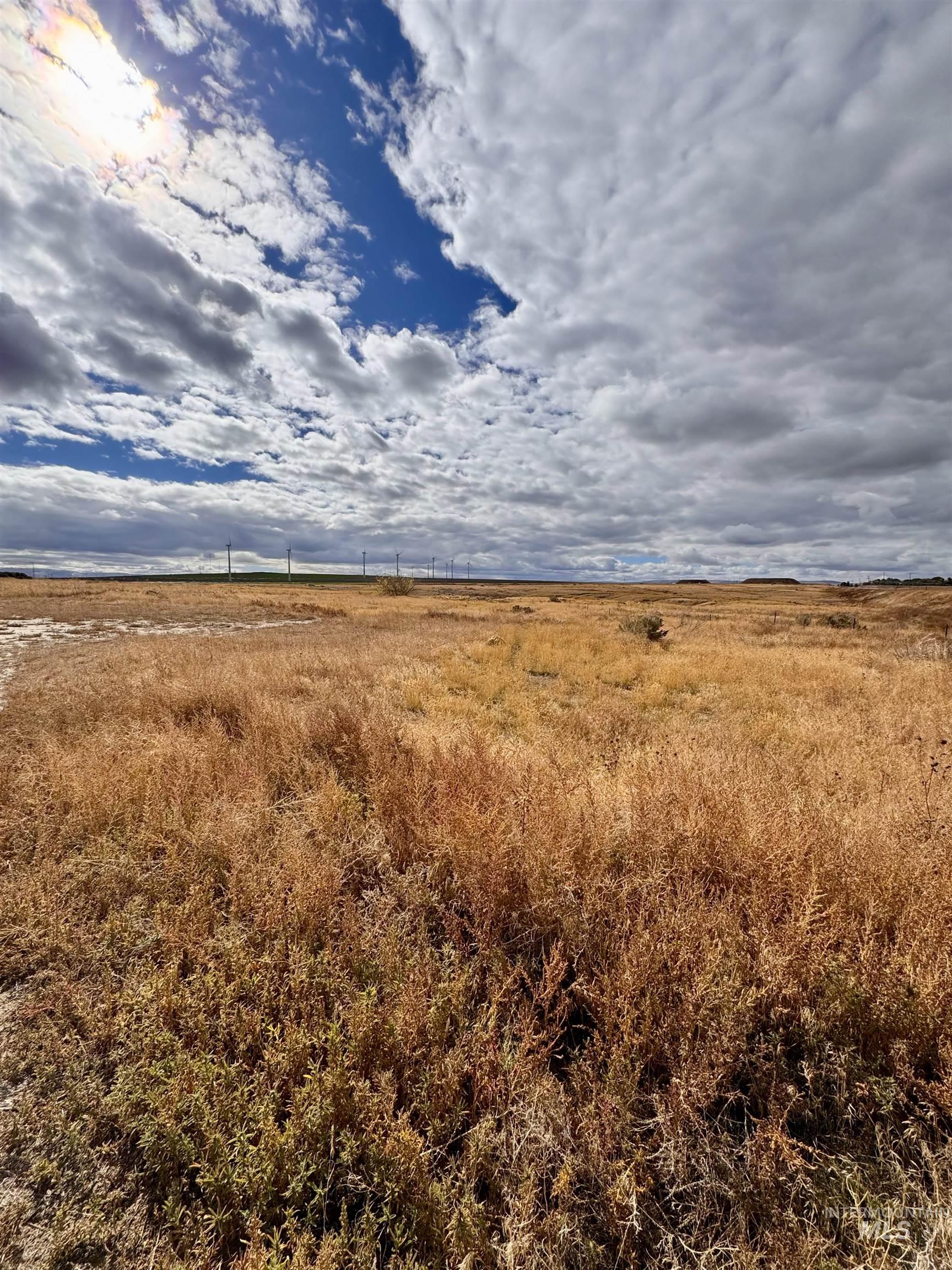 View of undeveloped land featuring rural landscape