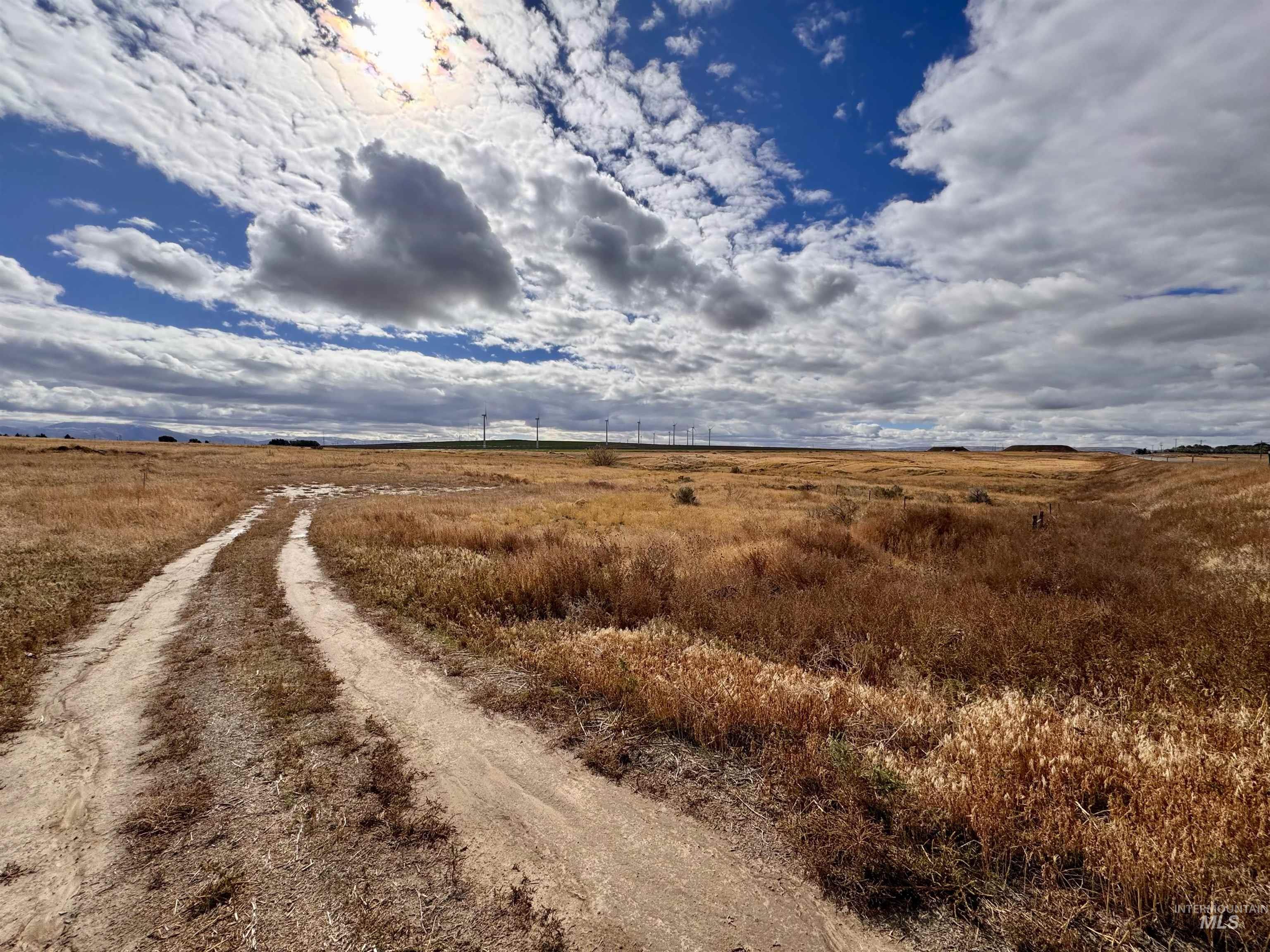 4 150 South 600 Street Burley, ID 83318 - Photo 2 of 3 View of street with a rural view