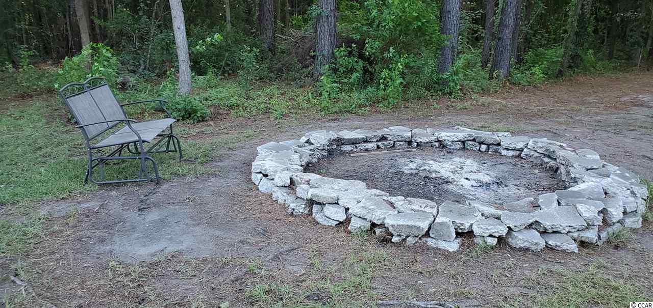 20 County Rd S-45-222 Andrews, SC 29510 - Photo 34 of 36