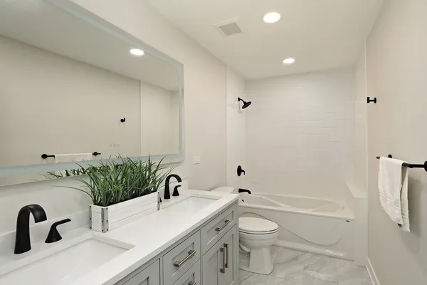 a bathroom with a granite countertop sink a toilet and shower