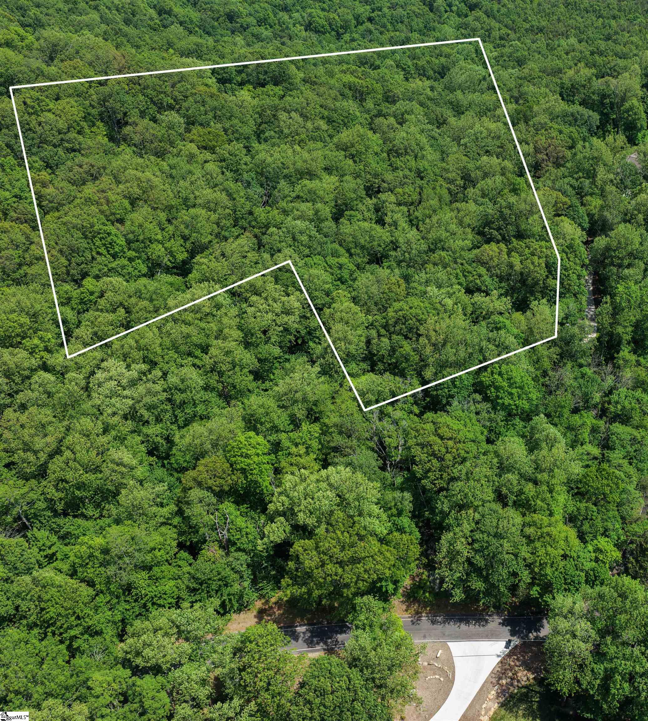0 Needle Cragg Road Landrum, SC 29356 - Photo 1 of 14