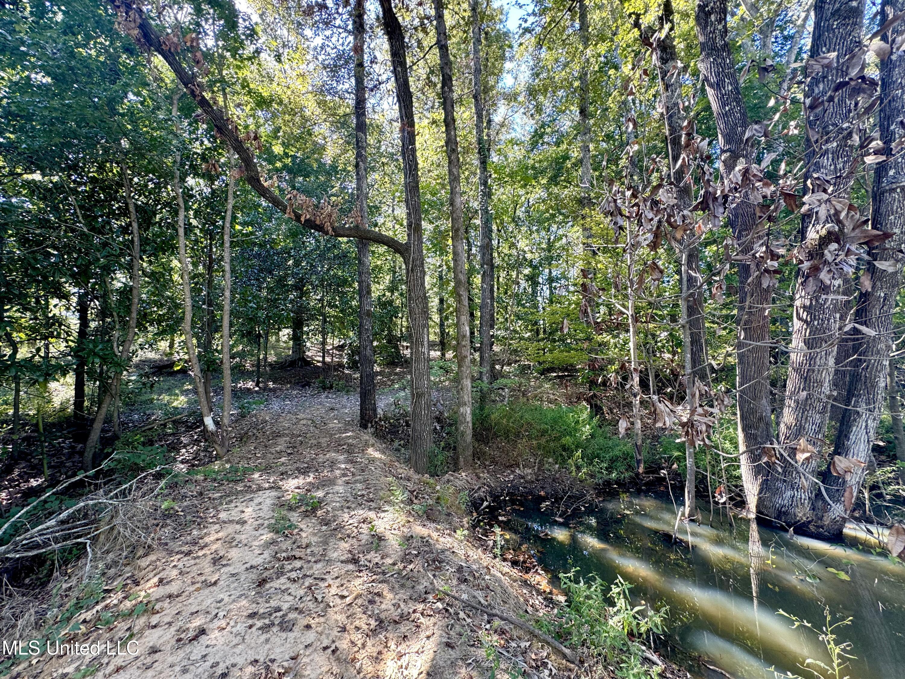 3114 Mathis Road Crystal Springs, MS 39059 - Photo 13 of 43 IMG_9043