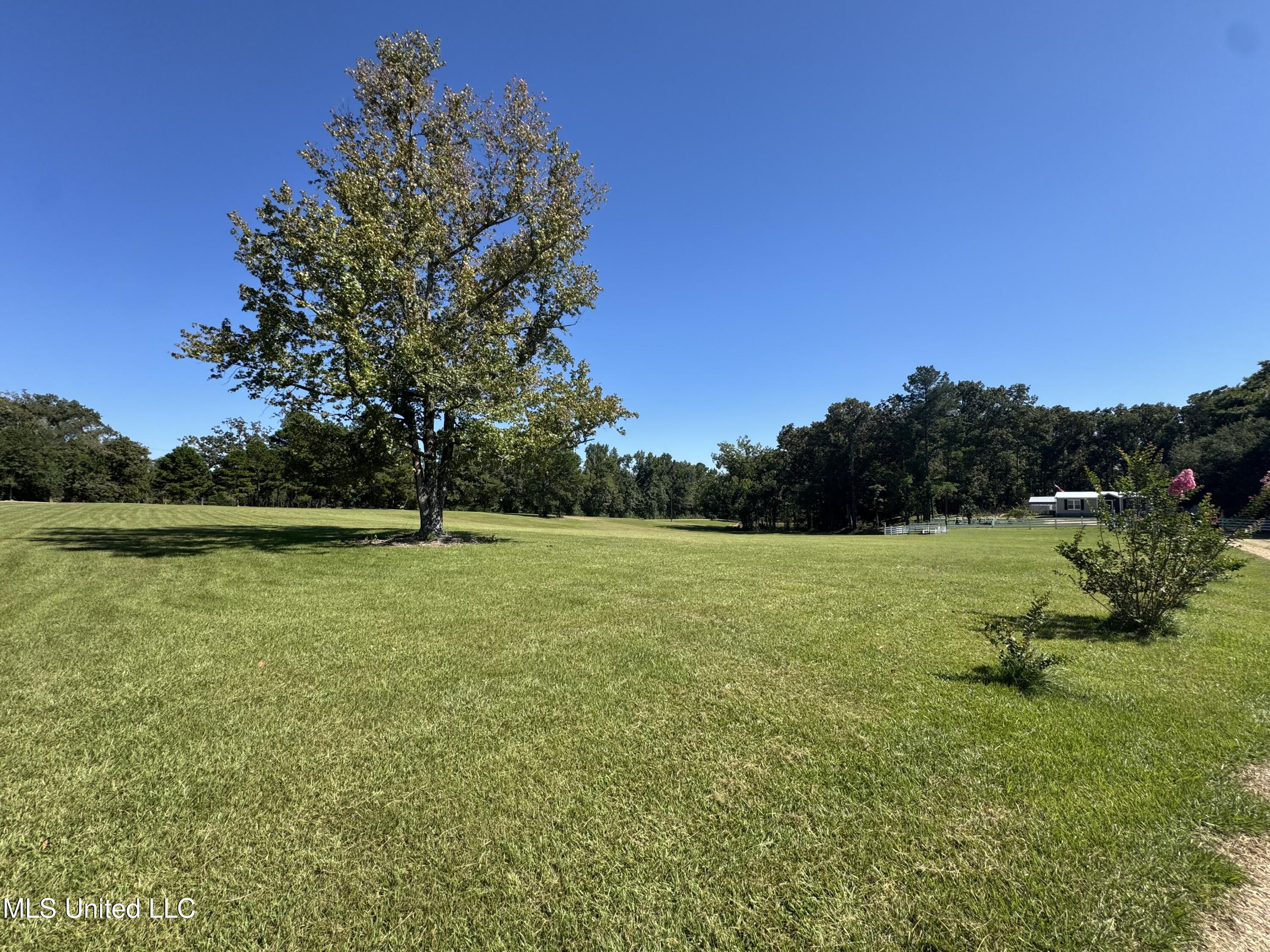 3114 Mathis Road Crystal Springs, MS 39059 - Photo 18 of 43 IMG_9026