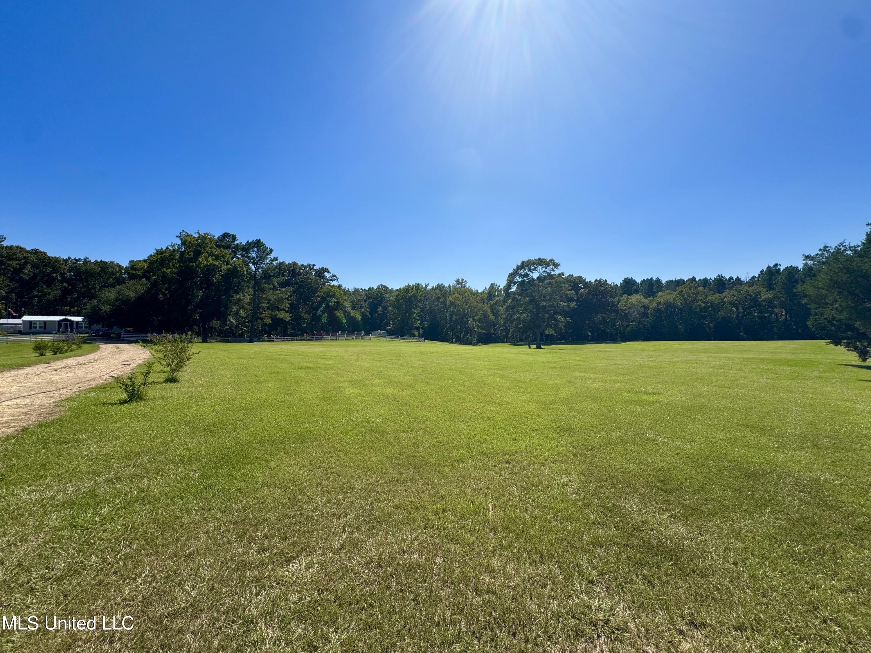 3114 Mathis Road Crystal Springs, MS 39059 - Photo 20 of 43 IMG_9024