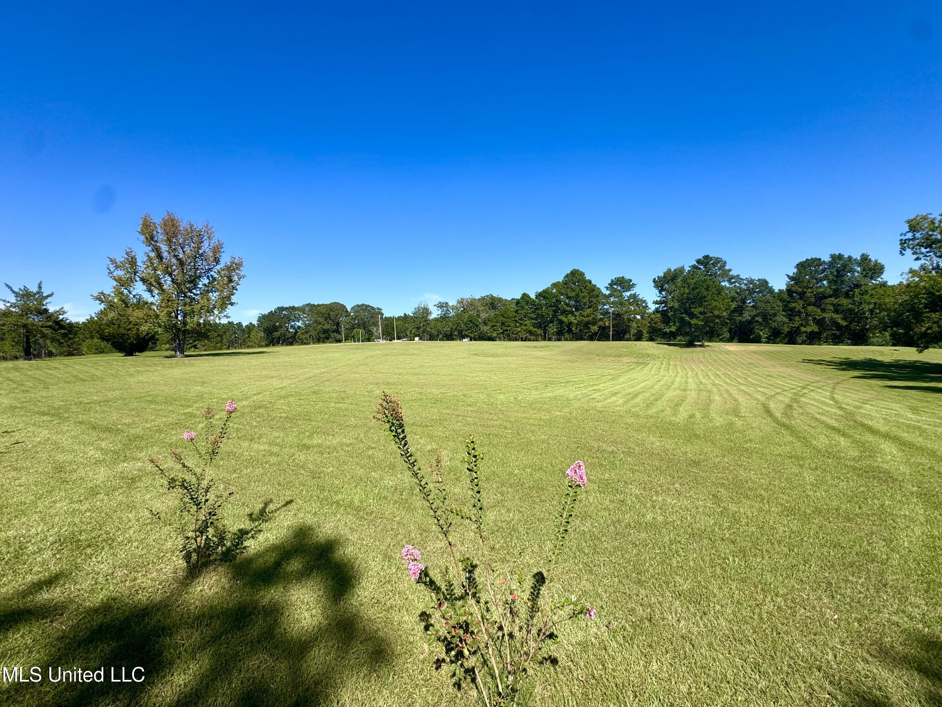 3114 Mathis Road Crystal Springs, MS 39059 - Photo 23 of 43 IMG_9018