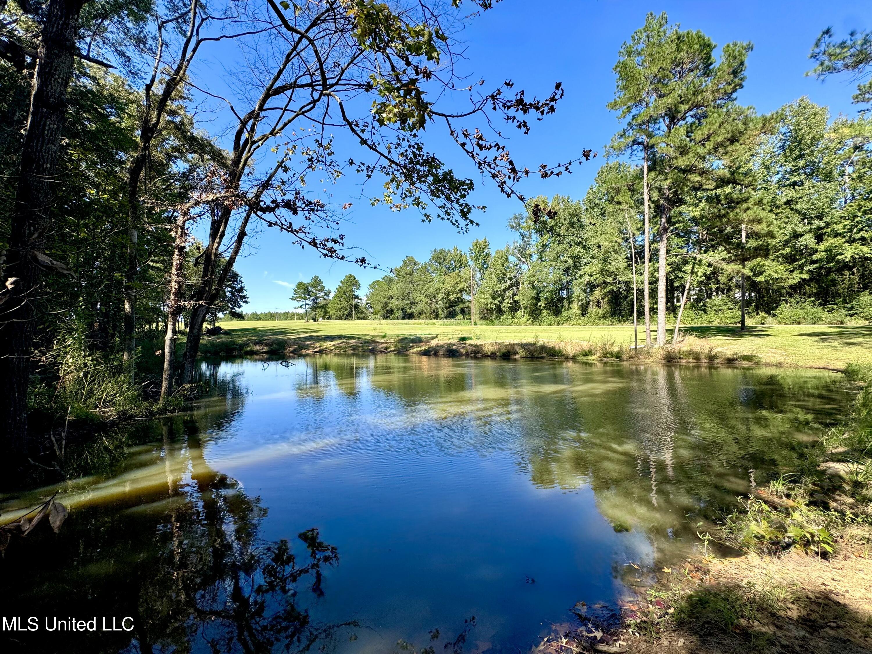 3114 Mathis Road Crystal Springs, MS 39059 - Photo 5 of 43 IMG_9042
