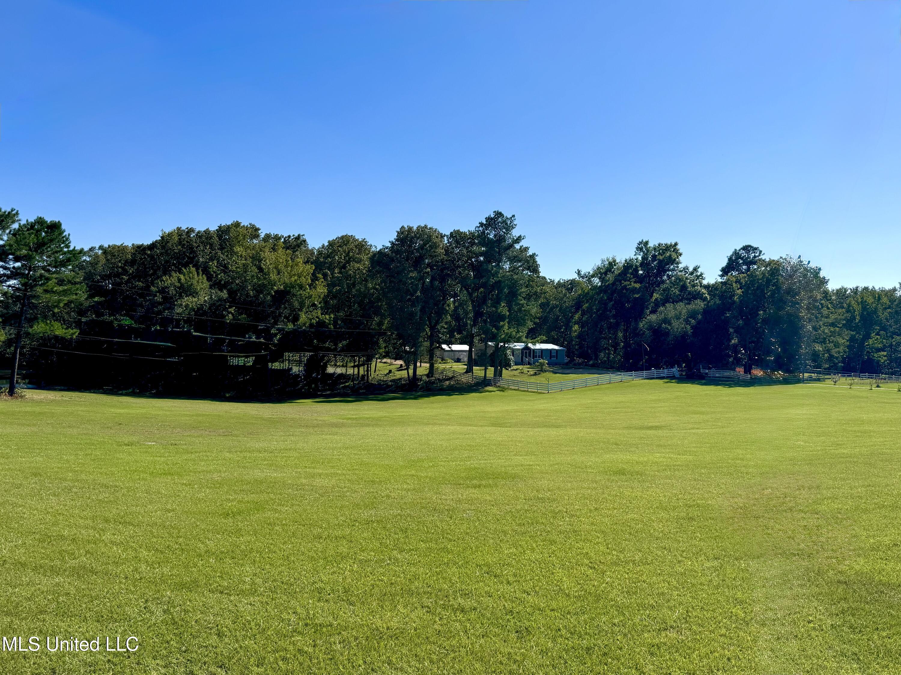 3114 Mathis Road Crystal Springs, MS 39059 - Photo 6 of 43 IMG_9052