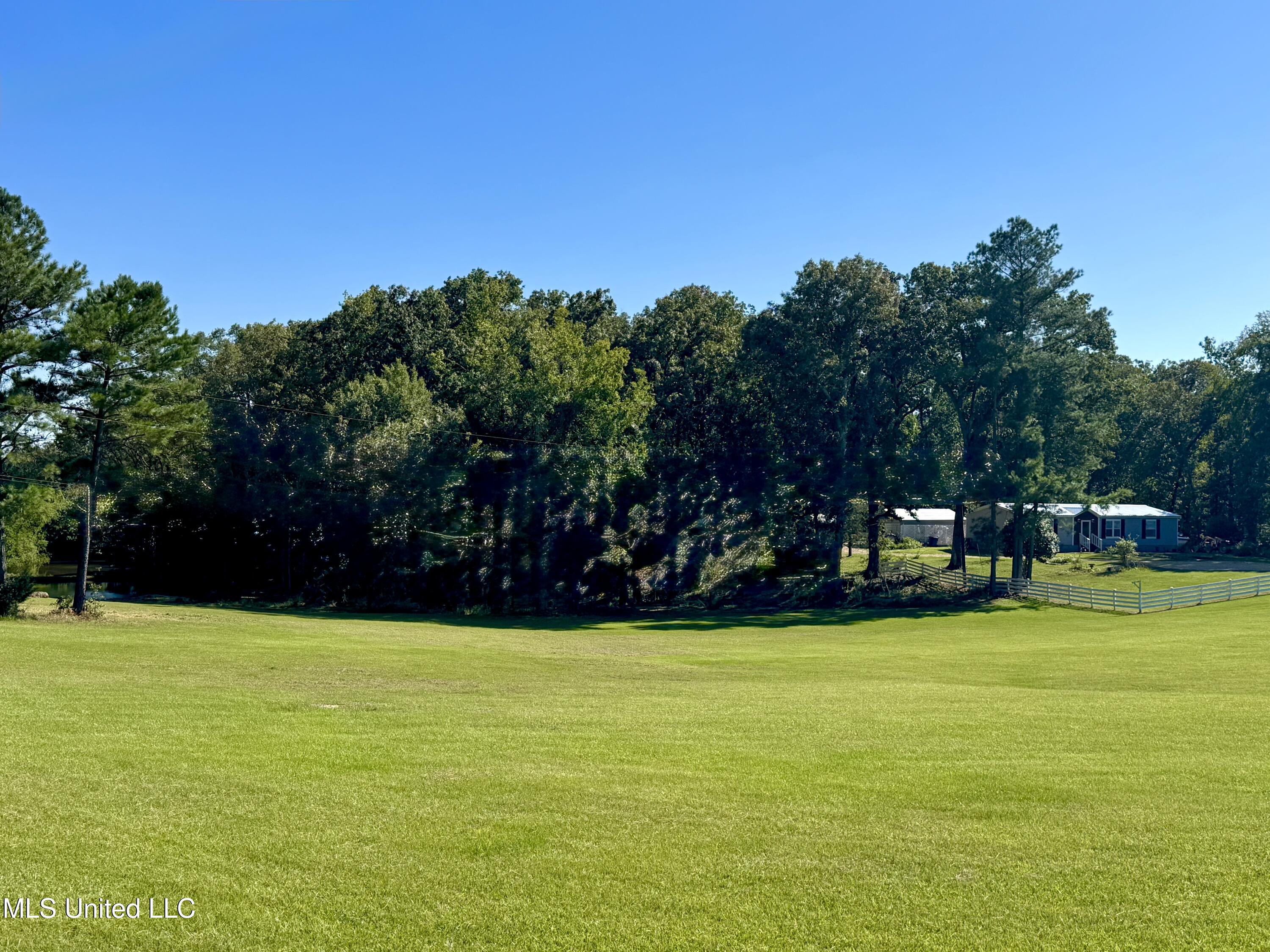 3114 Mathis Road Crystal Springs, MS 39059 - Photo 7 of 43 IMG_9050