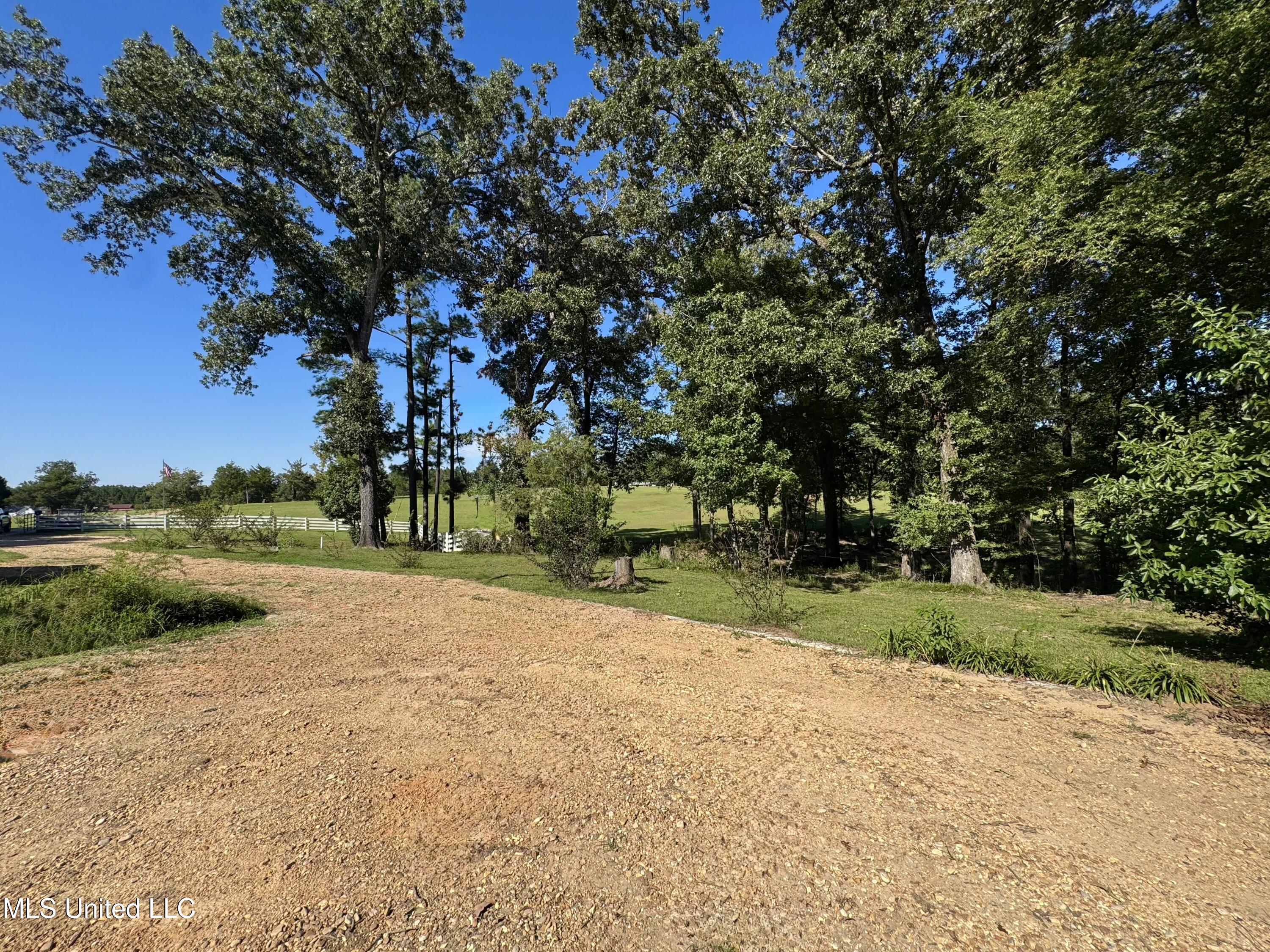 3114 Mathis Road Crystal Springs, MS 39059 - Photo 9 of 43 IMG_9046