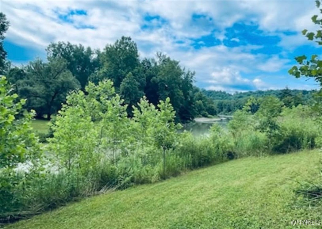 6379 Zoar Valley Road Concord, NY 14141 - Photo 6 of 9