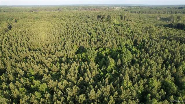 $135,000 | N/a Nary Lane, Disputanta, VA 23842