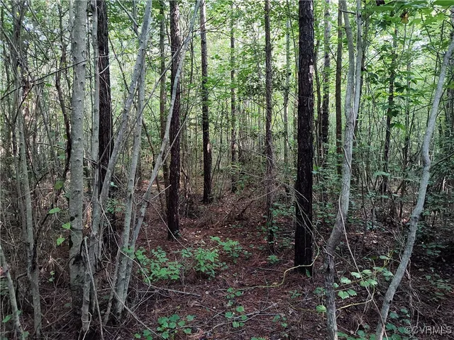 $135,000 | N/a Nary Lane, Disputanta, VA 23842