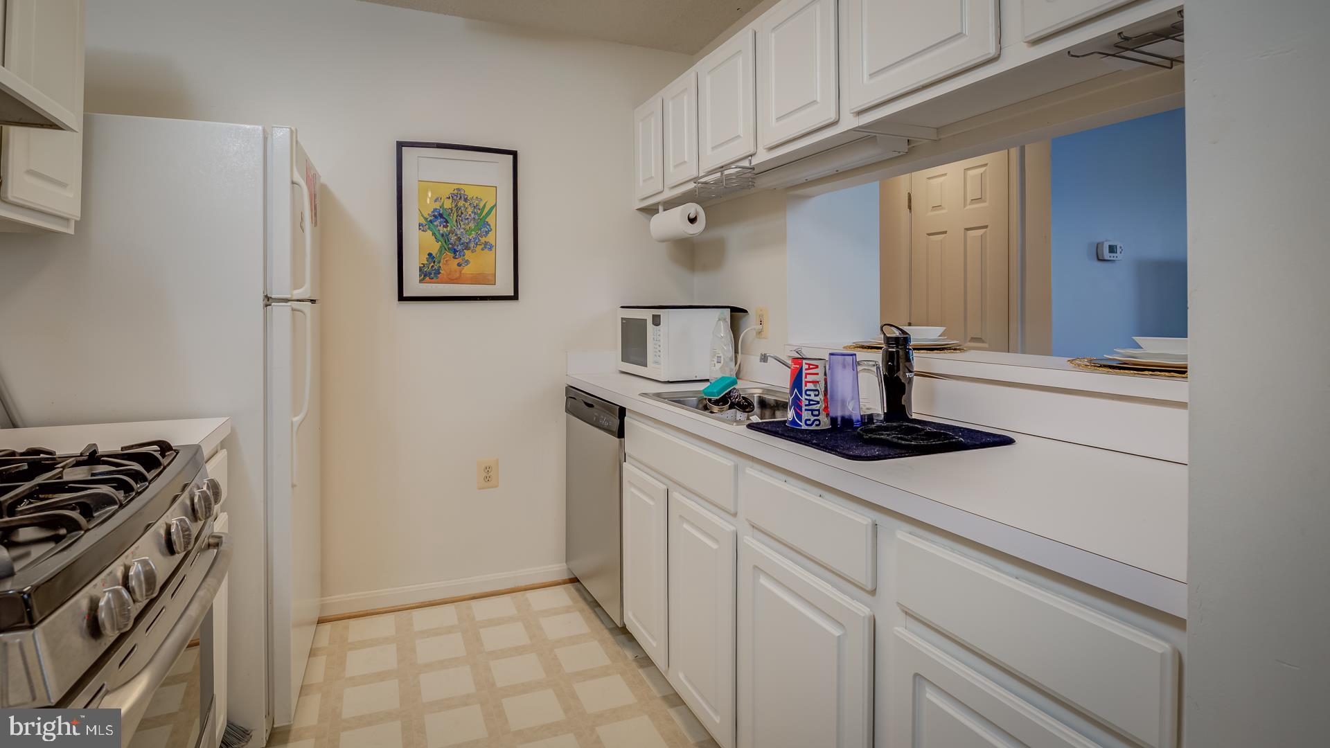 21014 Timber Ridge Terrace, Unit 303 Ashburn, VA 20147 - Photo 17 of 31 Gallery Image 17