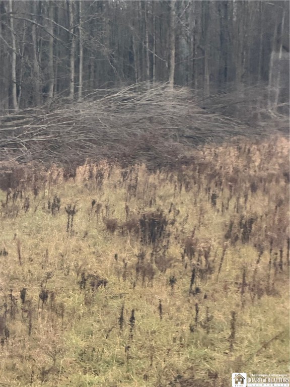 4437 Hewes Road Chautauqua, NY 14757 - Photo 13 of 31