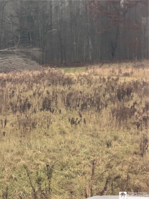 4437 Hewes Road Chautauqua, NY 14757 - Photo 14 of 31