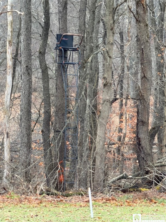 4437 Hewes Road Chautauqua, NY 14757 - Photo 2 of 31