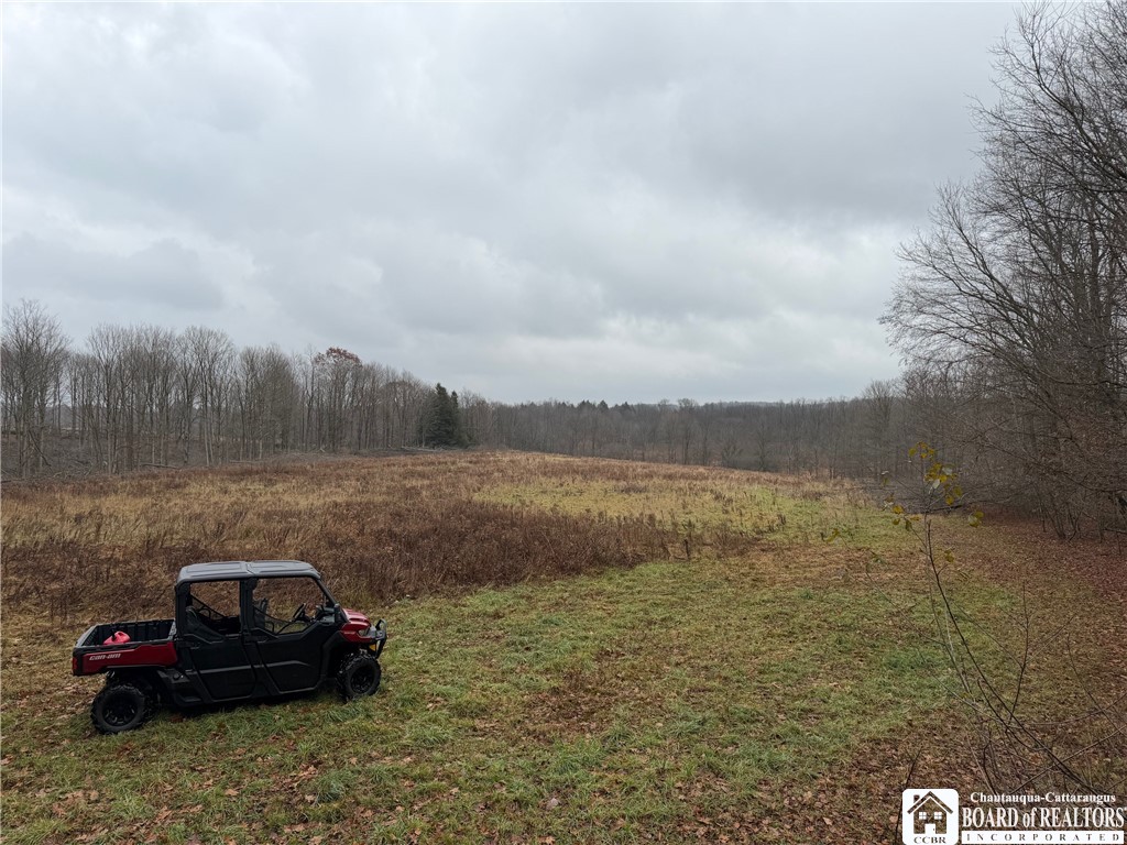 4437 Hewes Road Chautauqua, NY 14757 - Photo 5 of 31