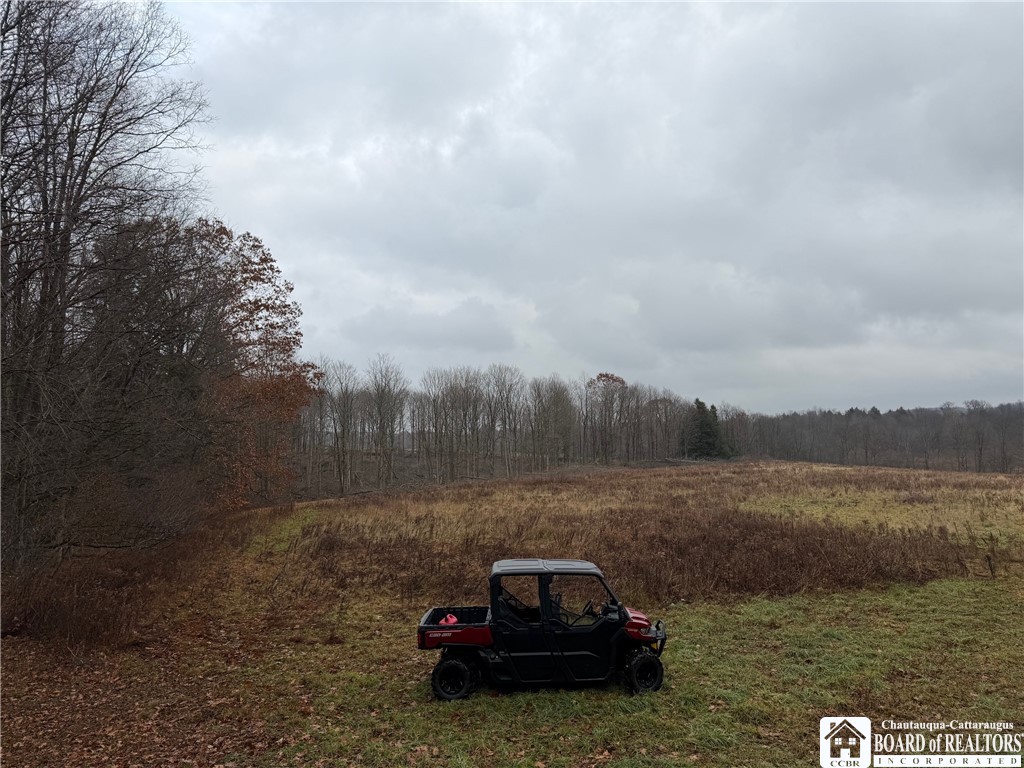 4437 Hewes Road Chautauqua, NY 14757 - Photo 6 of 31