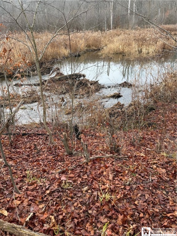 4437 Hewes Road Chautauqua, NY 14757 - Photo 7 of 31