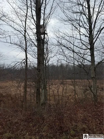 $549,999 | 4437 Hewes Road, Chautauqua, NY 14757