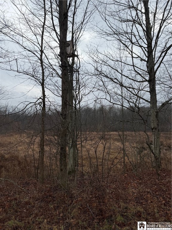 4437 Hewes Road Chautauqua, NY 14757 - Photo 8 of 31