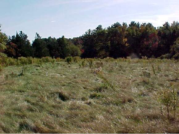 Rt85 Exeter Road Newfields, NH 03856 - Photo 1 of 1
