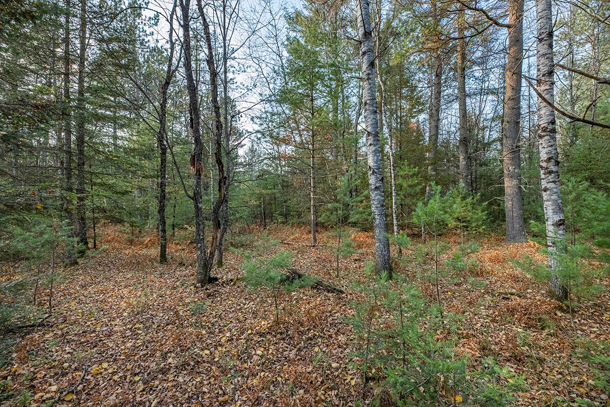 Off Watersmeet Lake Road Eagle River, WI 54521 - Photo 8 of 22 Gallery Image 8