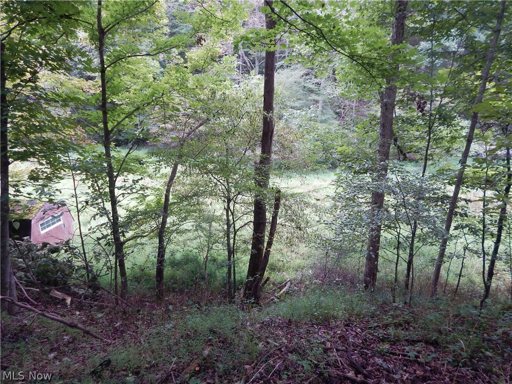 556 Goose Run Road Pullman, WV 26421 - Photo 30 of 35