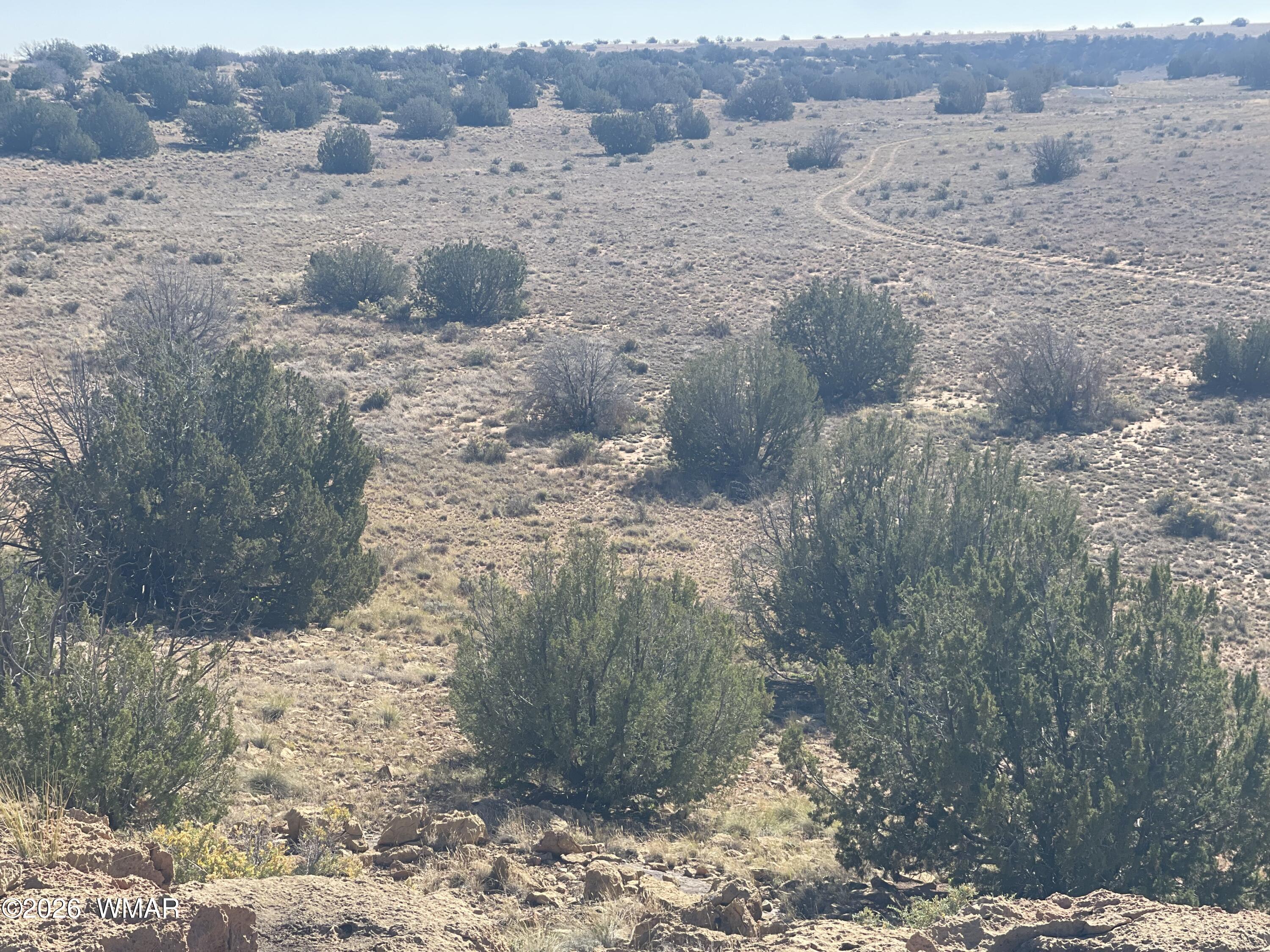 1515 Pumpkin Patch Road Heber, AZ 85928 - Photo 4 of 4 1515-3