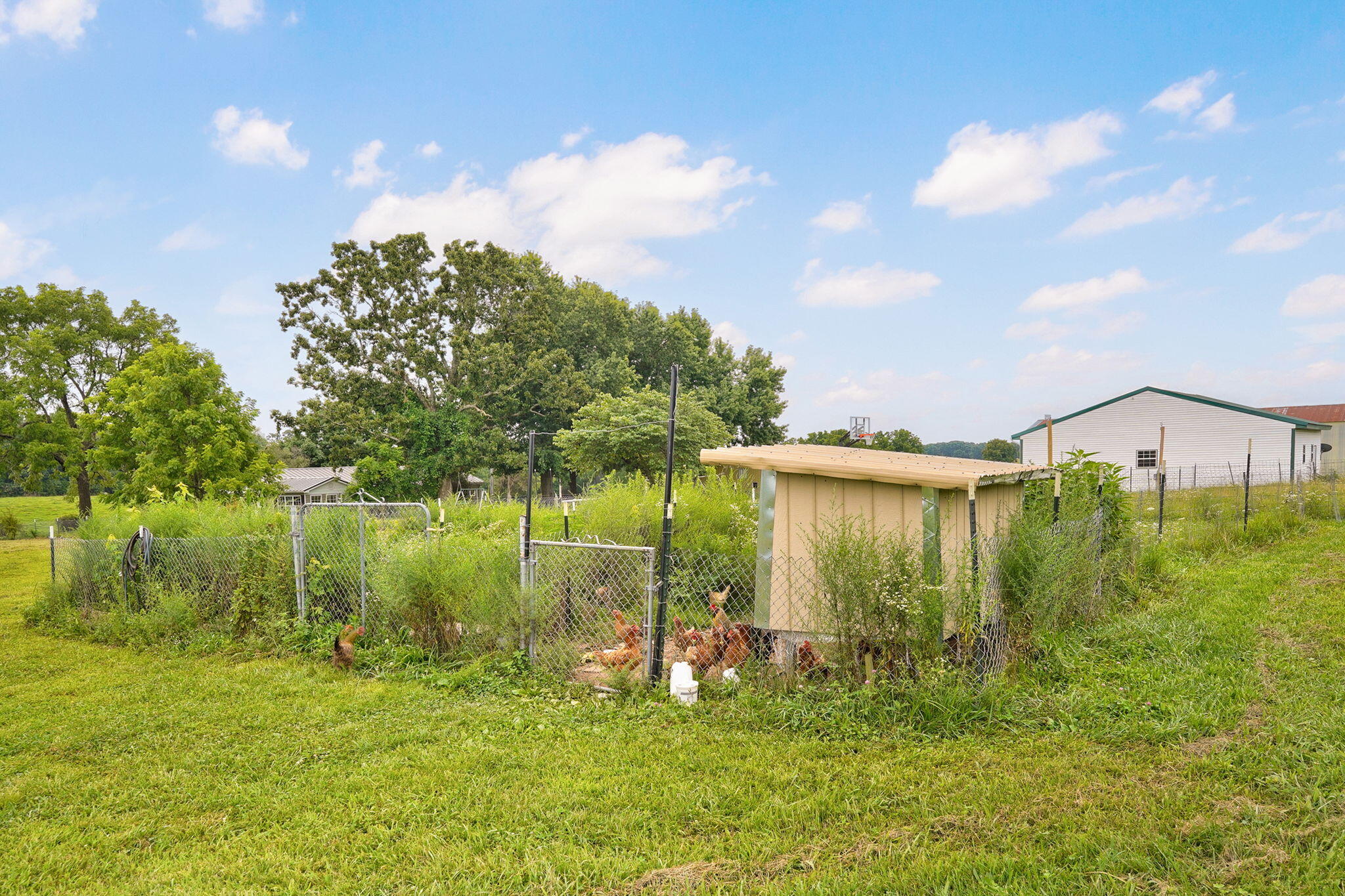1319 Mockingbird Road Fordland, MO 65652 - Photo 58 of 61 1319 Mockingbird Rd-59