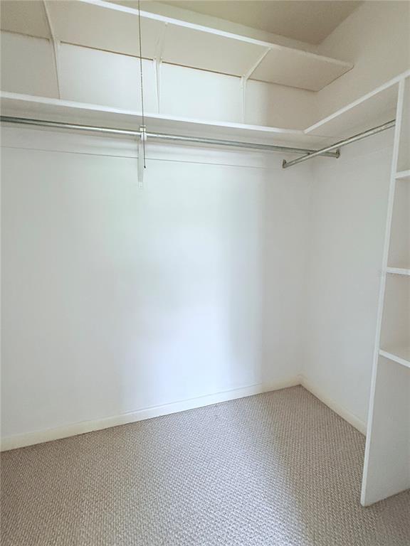6206 Dewdrop Way Temple Terrace, FL 33617 - Photo 13 of 23 a view of an empty walk in closet