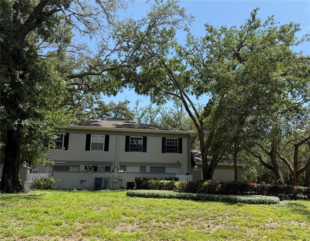 6206 Dewdrop Way Temple Terrace, FL 33617 - Photo 19 of 23 front view of a house with a yard