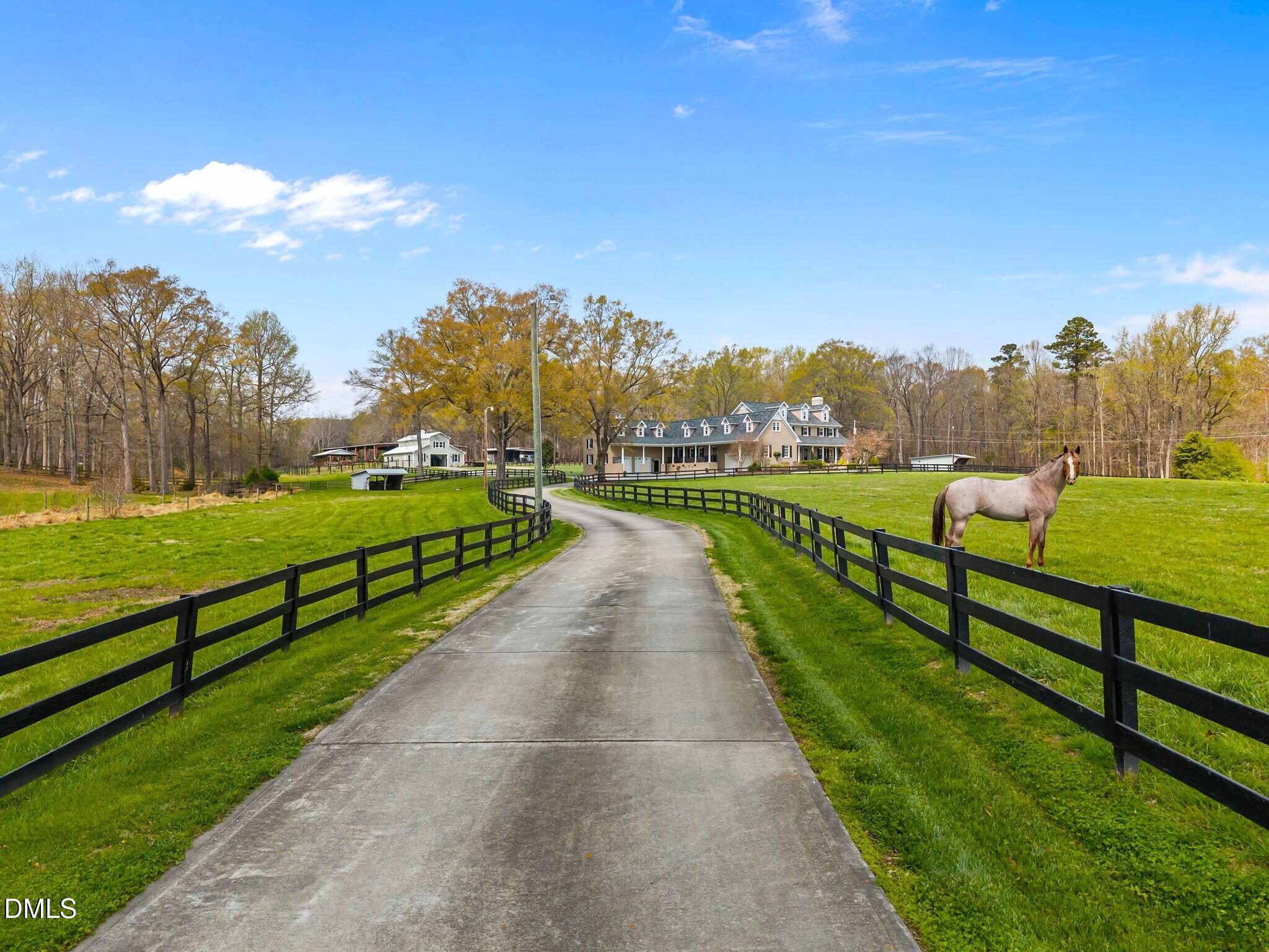 2515 Moores Mill Road Rougemont, NC 27572 - Photo 3 of 105 12-web-or-mls-DJI_20260326123237_0422_D