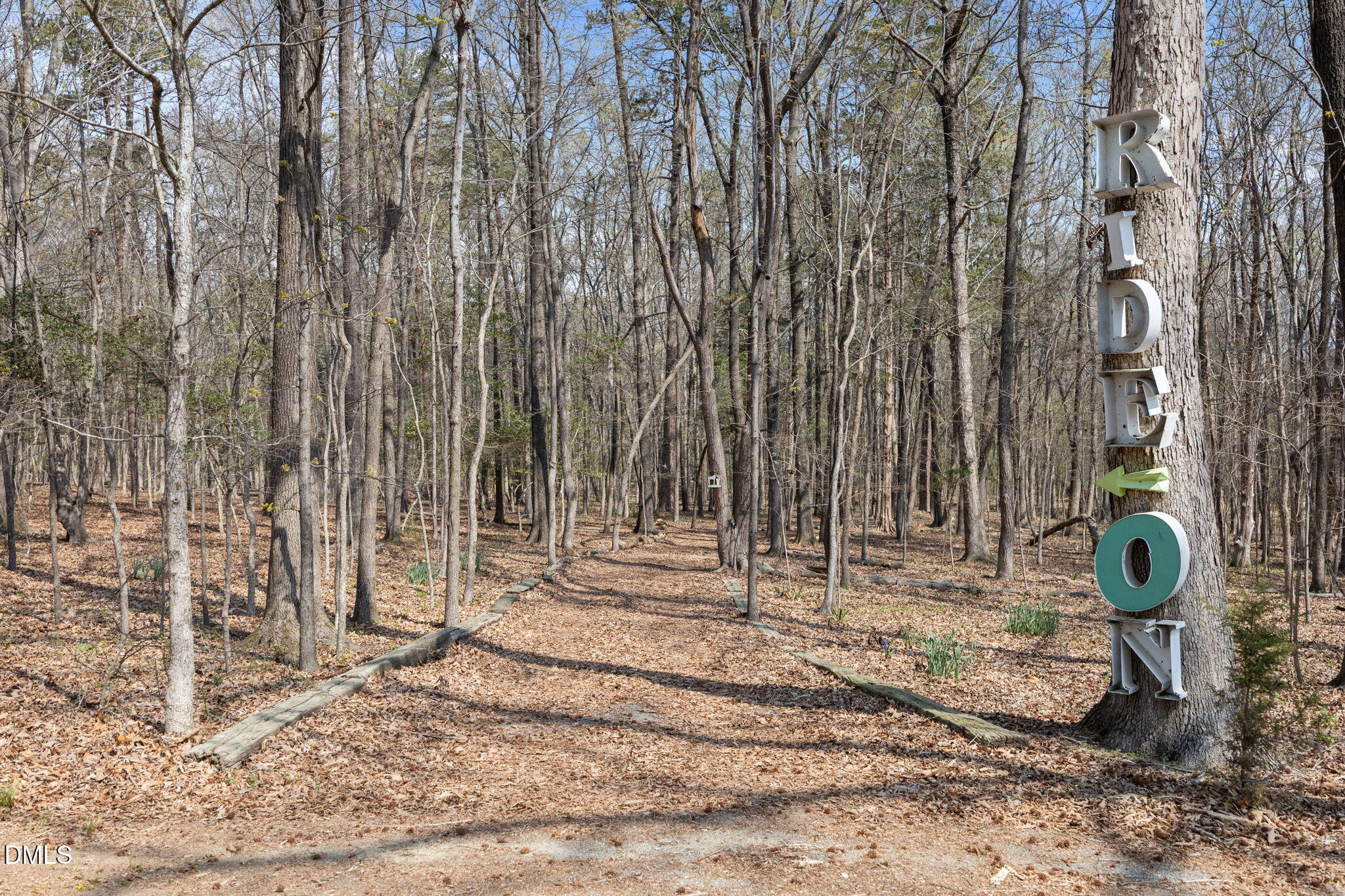 2515 Moores Mill Road Rougemont, NC 27572 - Photo 89 of 105 43-web-or-mls-IMG_9615