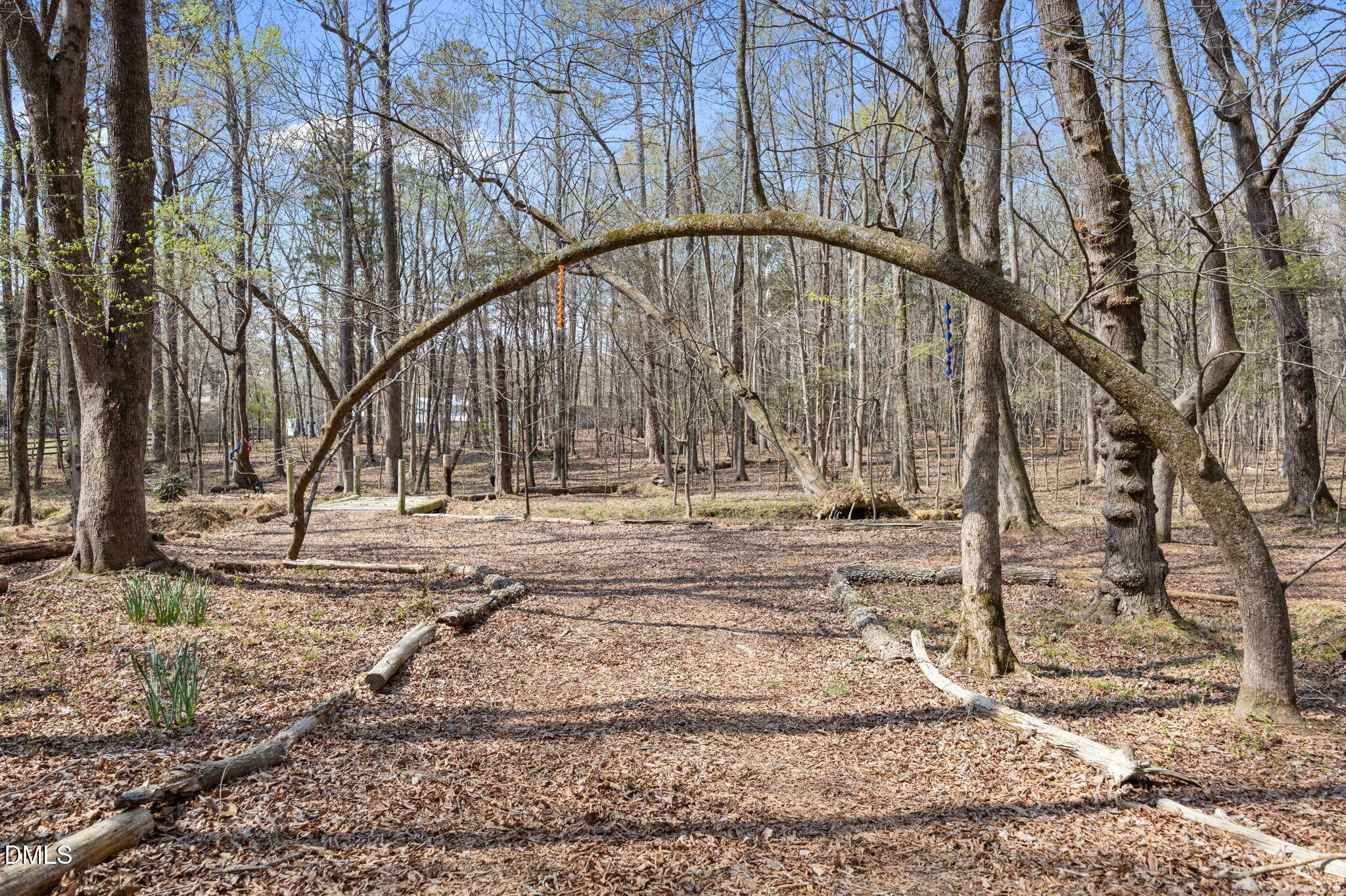 2515 Moores Mill Road Rougemont, NC 27572 - Photo 91 of 105 45-web-or-mls-IMG_9617