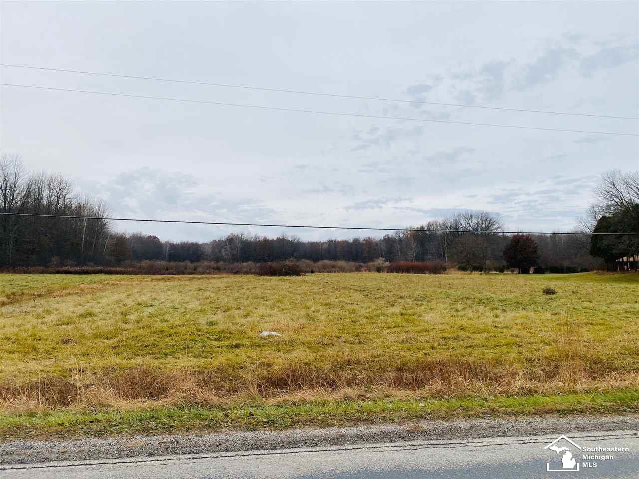 3 Tuttle Hill Road Milan, MI 48160 - Photo 3 of 3