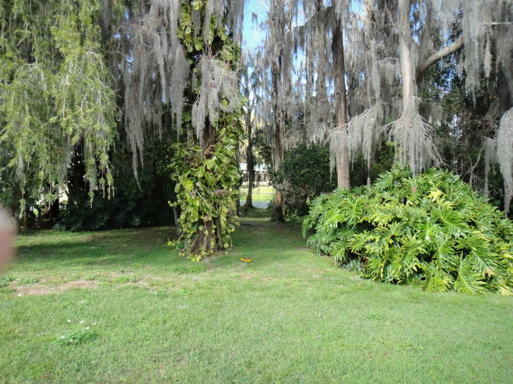 6829 Willits Avenue New Port Richey, FL 34655 - Photo 1 of 1 Waterfront Property With Mature Landscape
