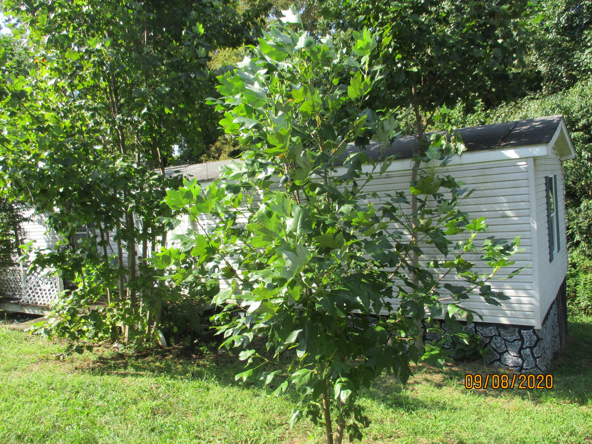 35329 Loves Mill Road, Unit 4 Glade Spring, VA 24340 - Photo 2 of 9 IMG_9569