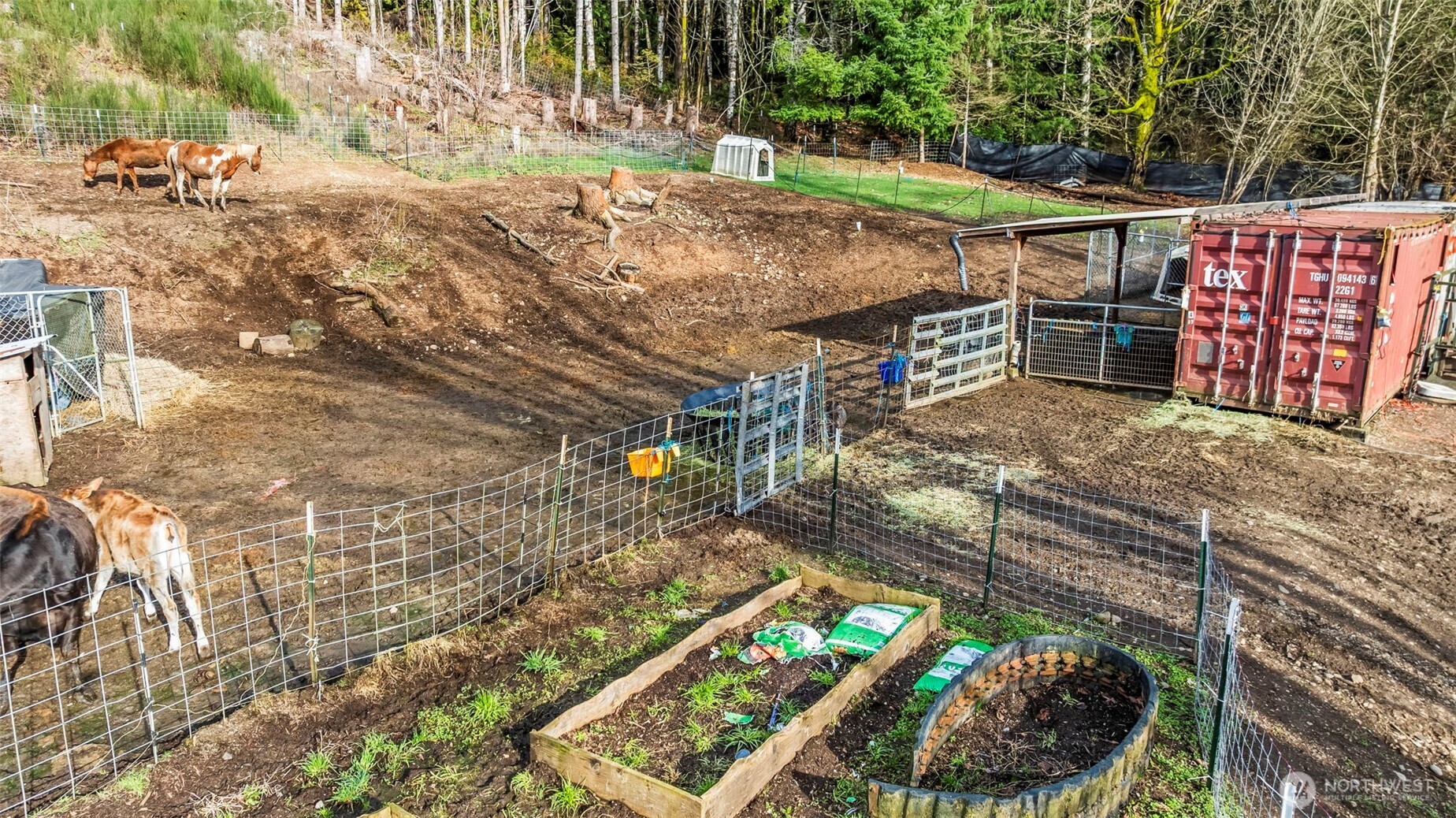 3762 West Cloquallum Road Shelton, WA 98584 - Photo 3 of 36