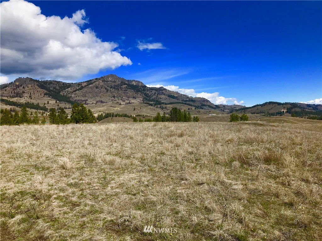 1-xxx Big Hole Road Republic, WA 99166 - Photo 1 of 4 Gallery Image 1